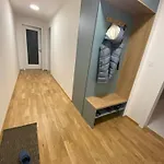 Apartman S Terasou, V Novostavbe