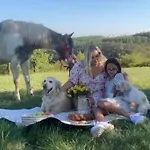 Flat In The House & Dog Friendly