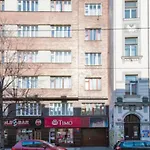 Nice Apartment By The Center