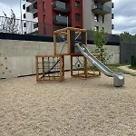 Palo Verde