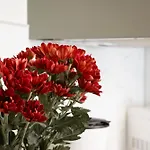 Apartmán Anastasie