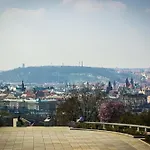Kalisnicka