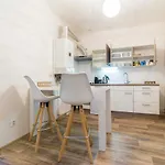 Karlova Apartment