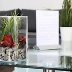 Beautiful Apartments Mala Strana