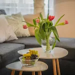 Apartments Rybna 2