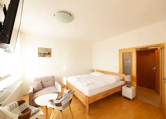 Vitkov Park Apartment