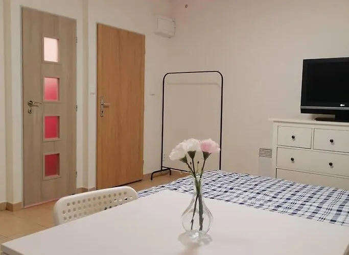 Basement Flat In The City Center!!