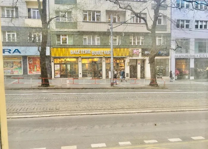 Hotel Flat In Centre Prague 2
