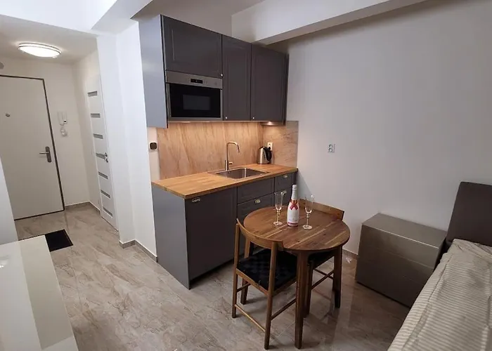 Luxusni Apartman Nedaleko Centra