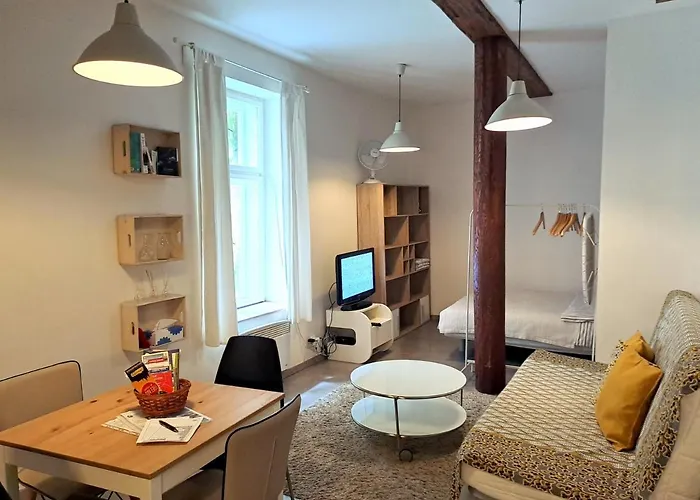 Magnificent Apartment In The Center Of Prague