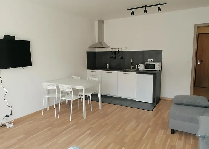 Brand New Studio Apartment #21 With Free Secure Parking In The Center