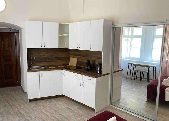 Studio In Gothic House, 50M To The Old Town Square