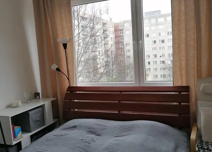 Prague, Lovely Room In Shared Flat.