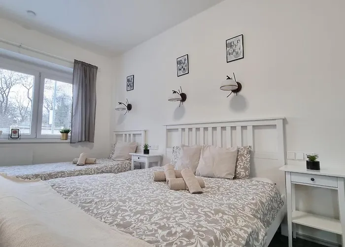 Finnem Rentals Jicinska