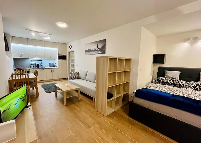 Pleasant Basement Apartment