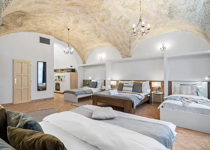 Charles Bridge Historical Apts By Michal&Friends