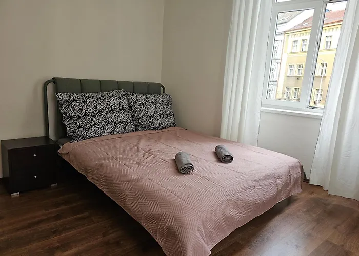 Apartments Zizkov 2C