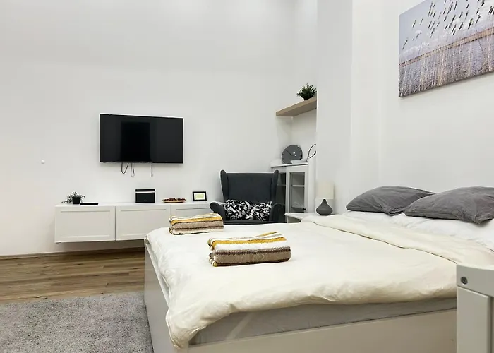 Entire Unit In The Center Of Prague
