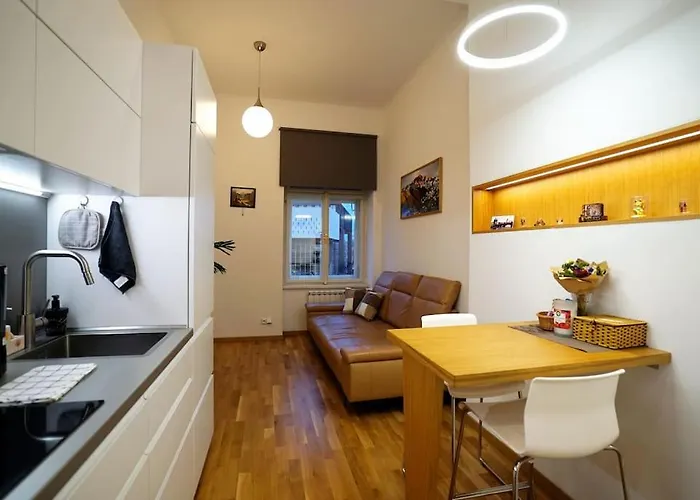 Cozy Apartment With Garage