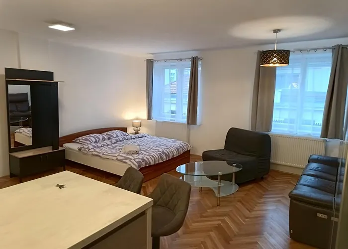 Apartment In The Center Of Oid Town