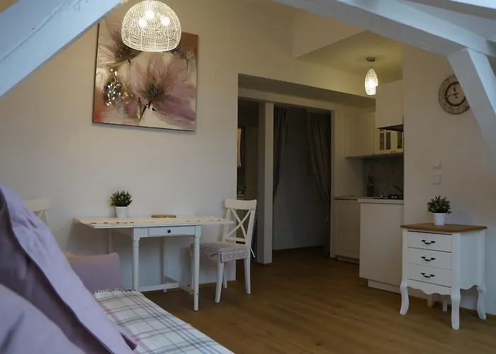 Vinohradska Residence Apartment