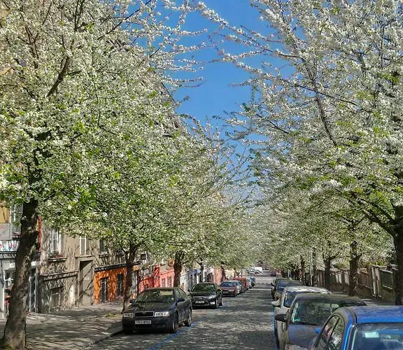 The Garden In The City