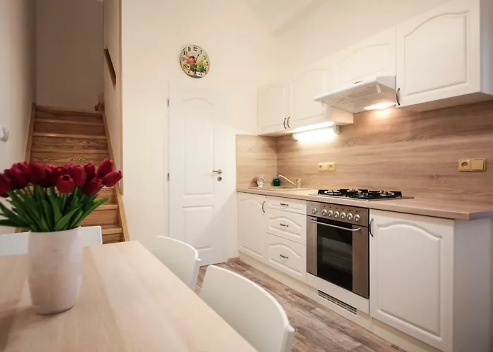 Family Duplex On Wenceslas Square