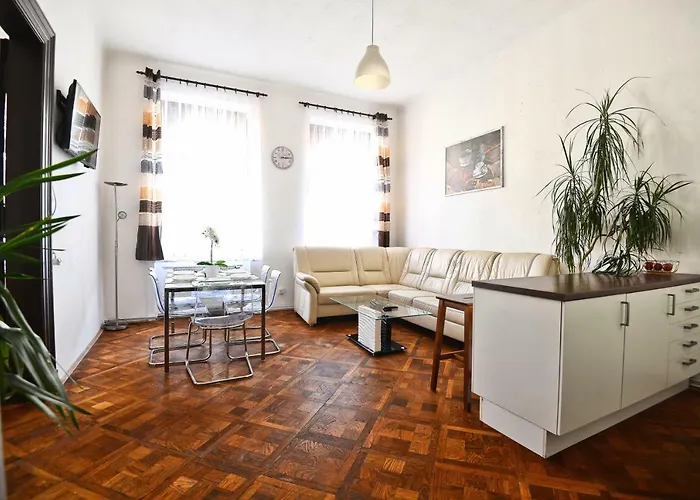 Spacious Cozy Apartments In Centre