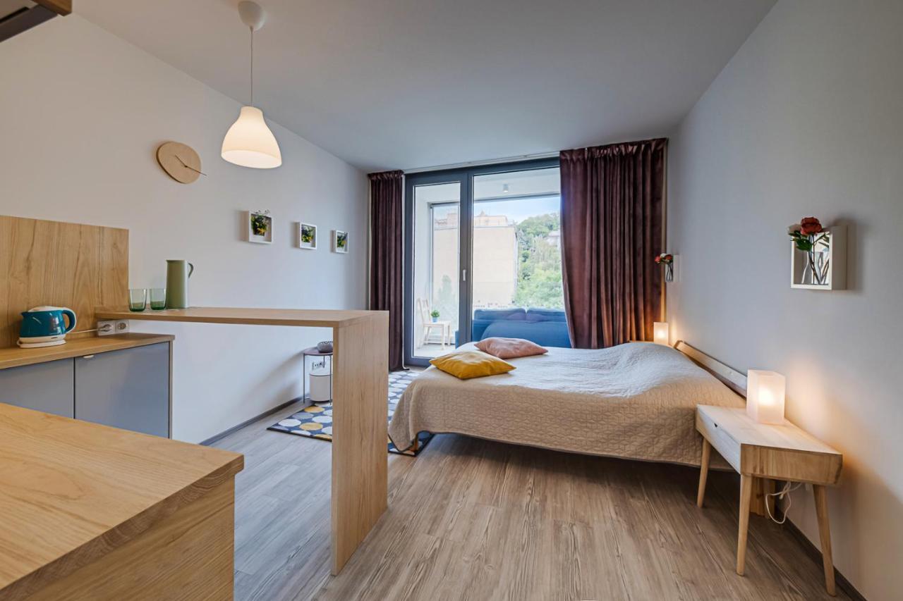 Apartment Homy *