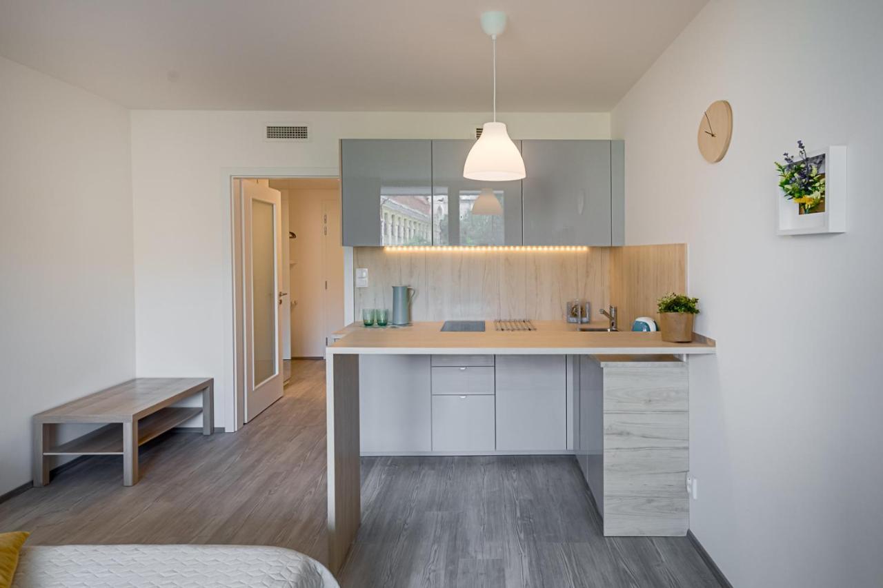Homy Apartment Prag