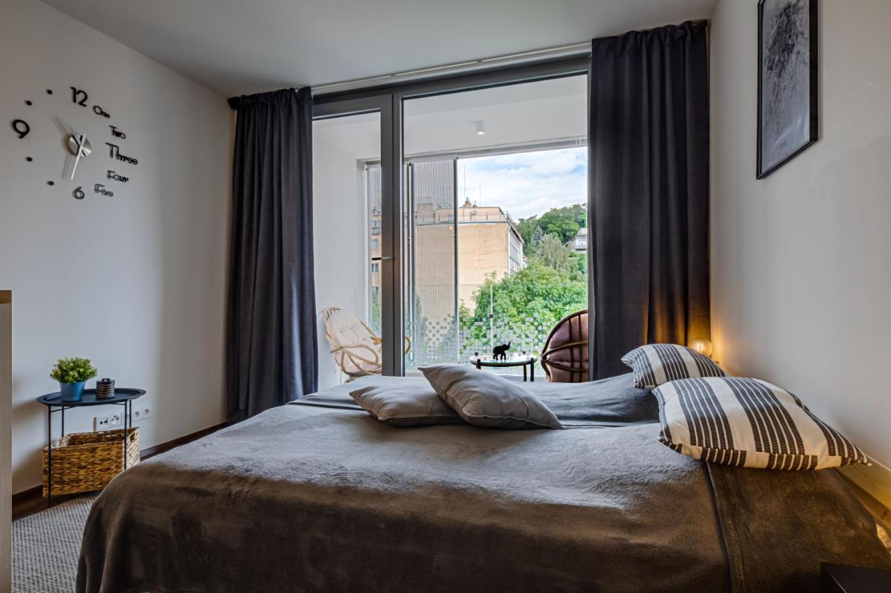 Homy Apartment