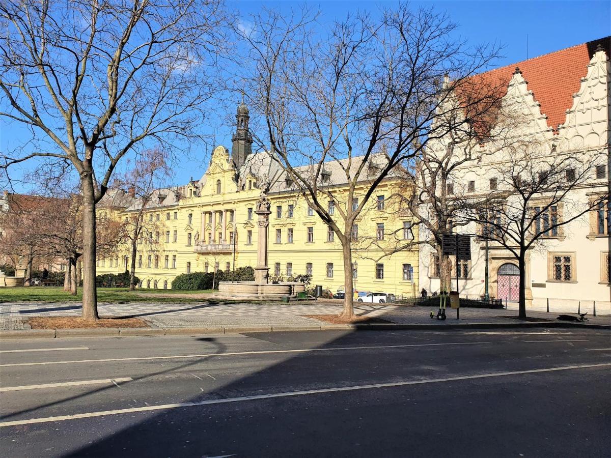 Reznicka Lejlighed