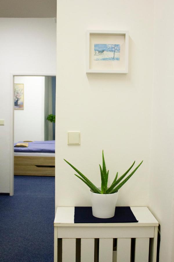 Blue In Beautiful Style Garden With Atmosphere Apartment *