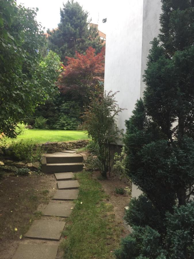 Blue In Beautiful Style Garden With Atmosphere Prague