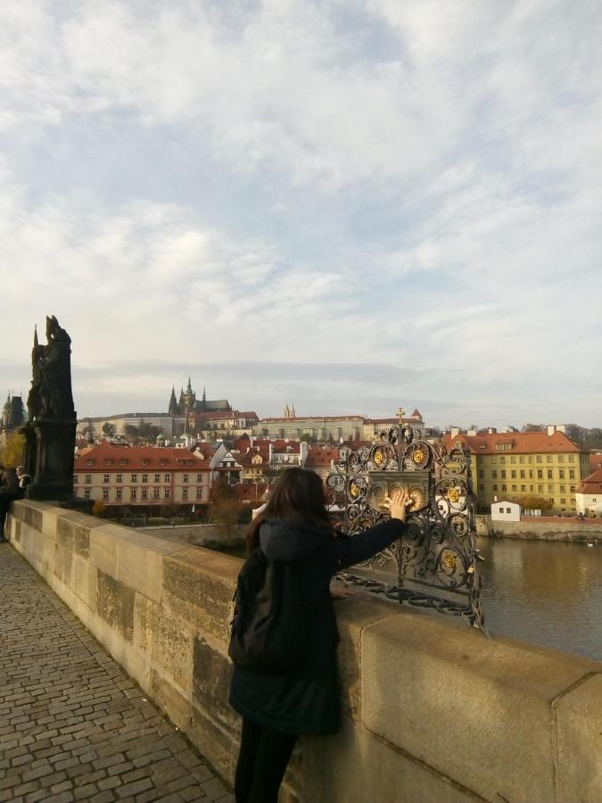 Lägenhet Apartricanova Prag