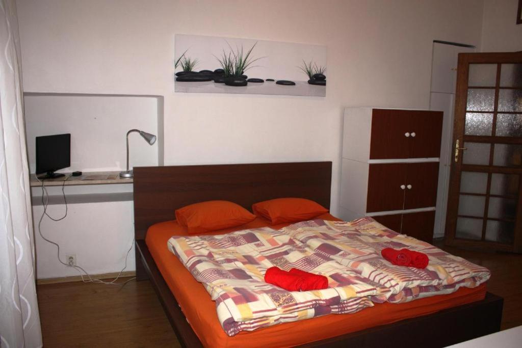 Apartment Zelezna