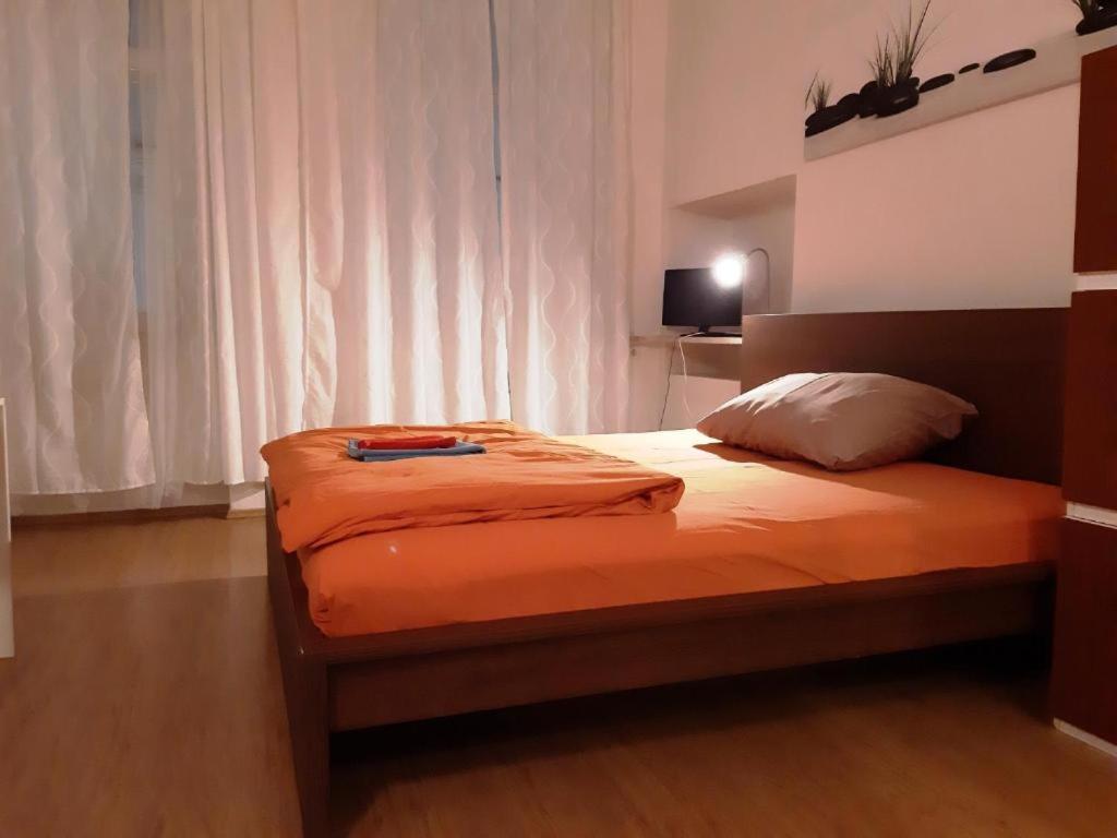 Apartment Zelezna