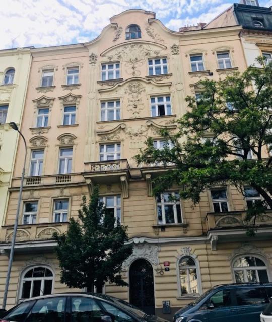 Apartment Outstanding In Center *