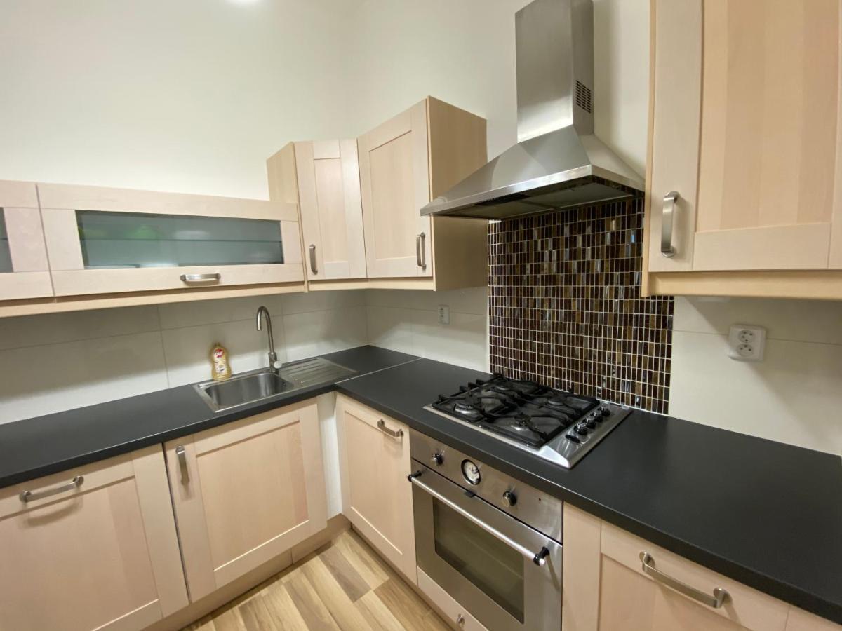 Krakovska - Wenceslas Square Apartment