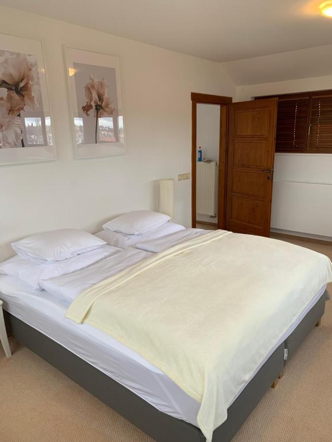 Apartment Sarka Prag