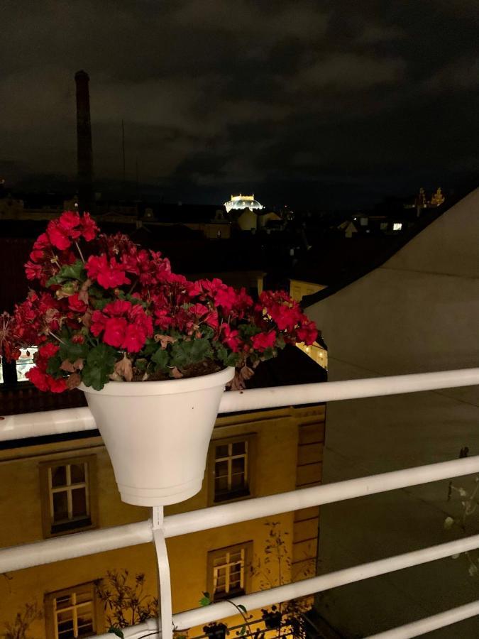 Anenska By Charles Bridge 1 *