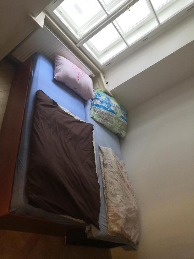 Gasthof Private In Shared Luxurious Palace Like With 2 Bathrooms Including Whirlpool And Virtual Reality Prag