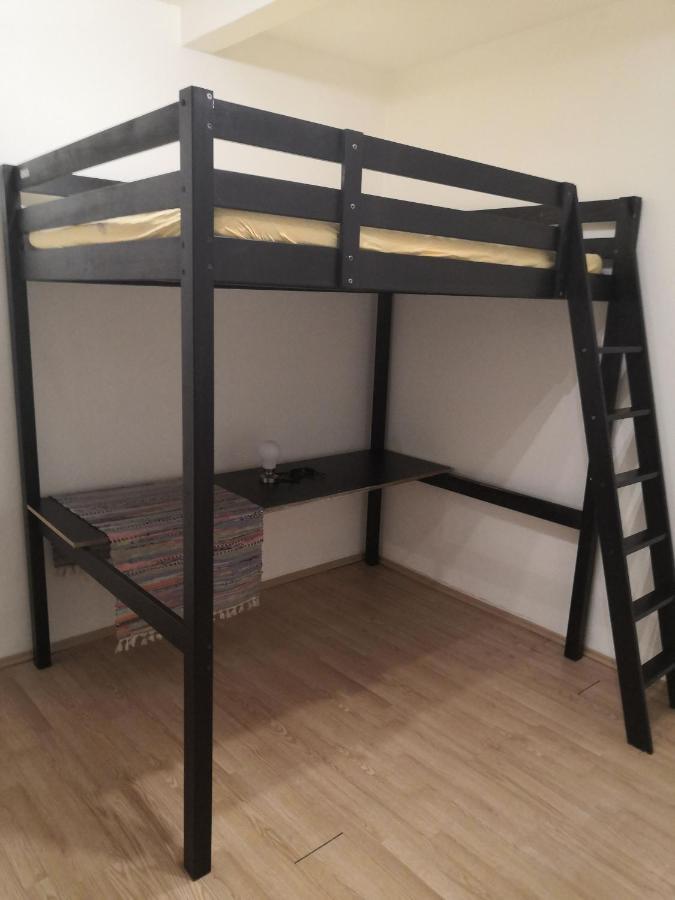 Economy Flat 18 Minutes From Vaclavske Namesti Apartmán Praha