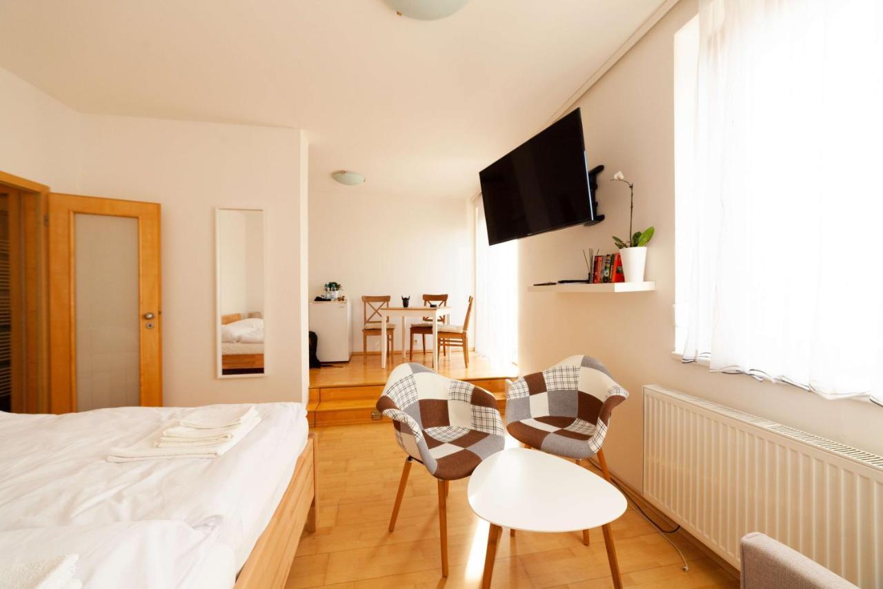 Apartment Vitkov Park