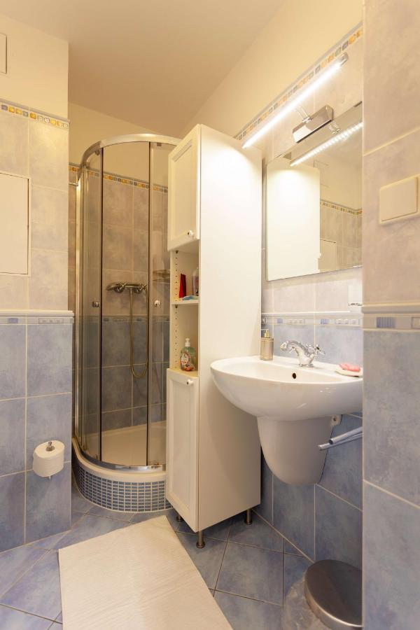 Vitkov Park Apartment *