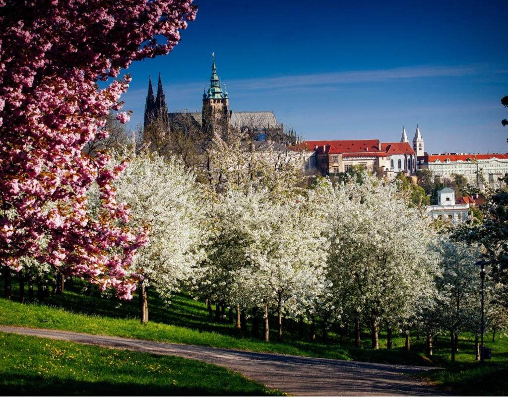 Royal By Michal&friends Apartment Prag