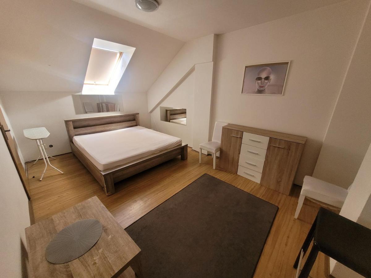 Apartment Zizkov B *