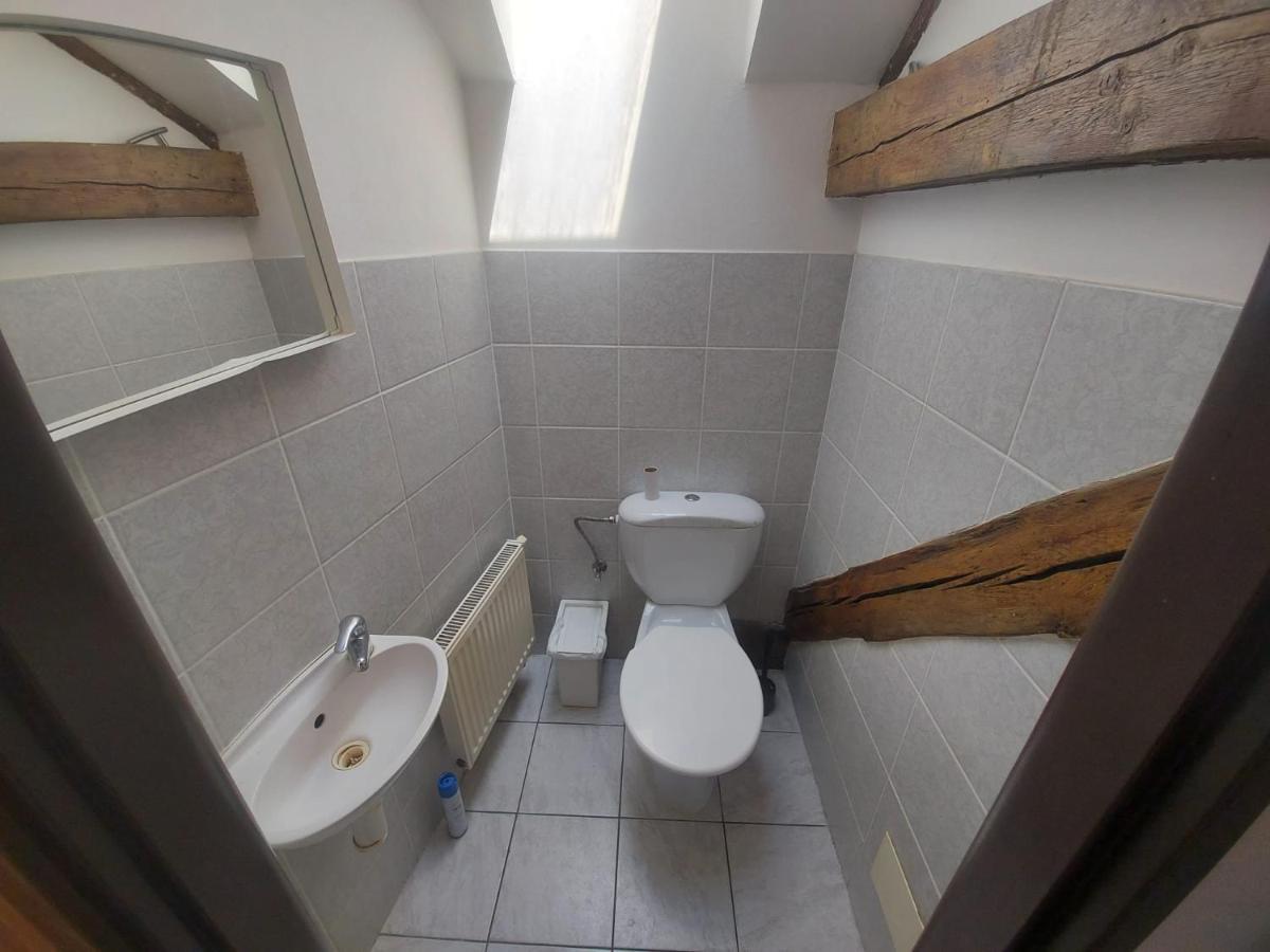 Apartment Zizkov B