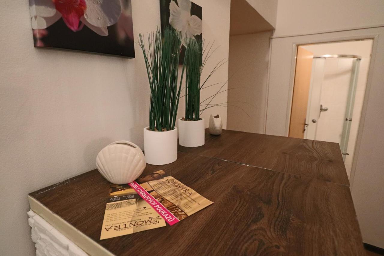 Relax Strasnice: With Private Infra-sauna ! Lejlighed *