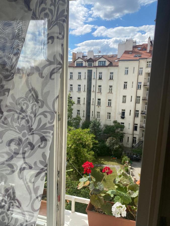 Homelike Apartment *